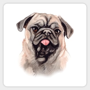 Pug Sticker